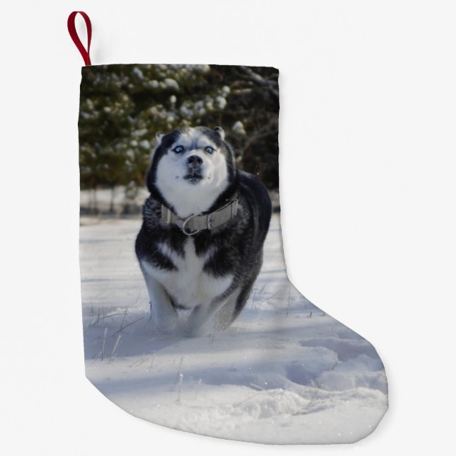 Gebühr durch Husky Weihnachts-Strumpf Kleiner Weihnachtsstrumpf (Vorderseite)