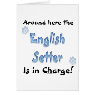 Gebühr für die englische Setter