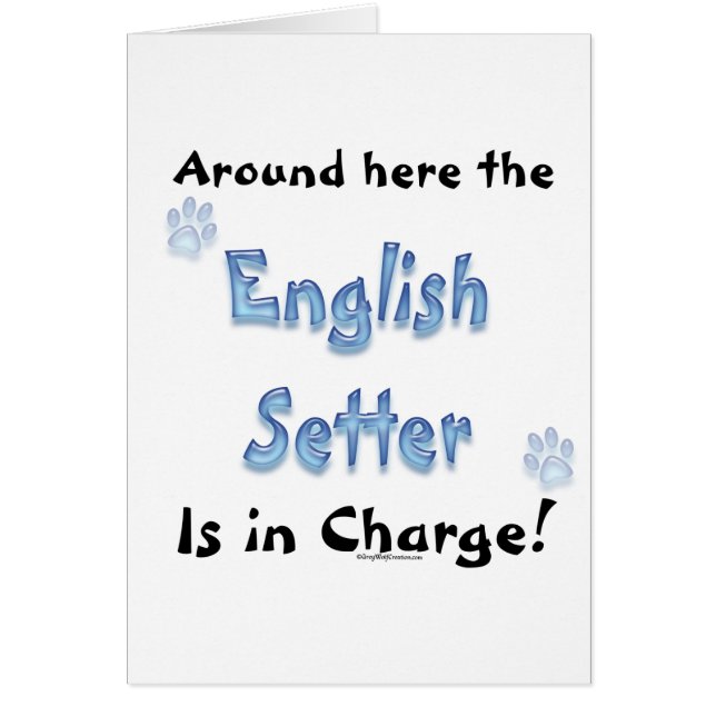 Gebühr für die englische Setter (Vorne)