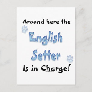 Gebühr für die englische Setter Postkarte