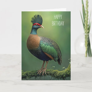 Geburt gezauberter Partridge auf einer Zweigstelle Karte