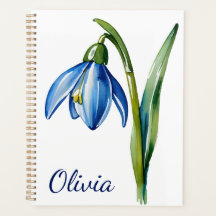 Geburt im Januar Blume Blauer Schneefall Blume