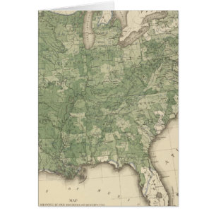 Geburtenrate USA, Statistischer US-Lithograph