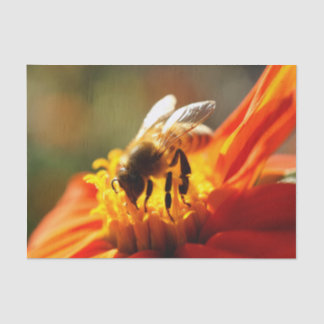 Gebürtige Biene in einem orange Seidenpapier