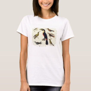Gebürtige Vögel, einschließlich das Toucan T-Shirt