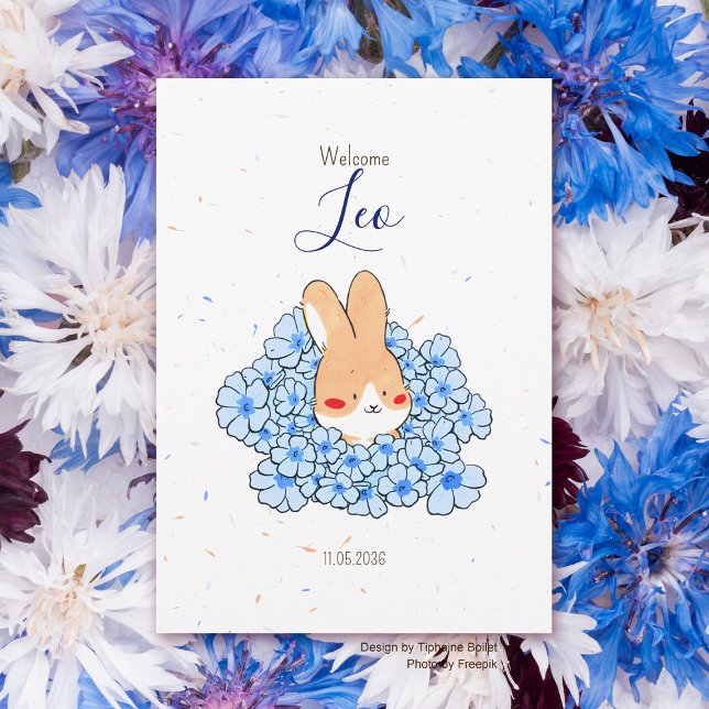 Geburtsanzeige Kaninchen Blume Ankündigung (Faire-part naissance lapin fleur bleu garçon)