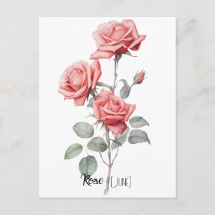 Geburtsdatum-Blume Rose (Juni) Postkarte