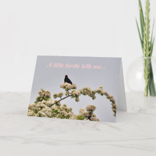 Geburtskarte: Blackbird Karte