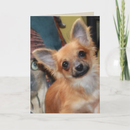 Geburtskarte | Chihuahua Puppy Chi Chi Dylan Karte