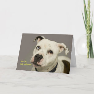 Geburtskarte des Hundes Karte