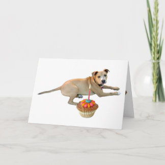 Geburtskarte des Hundes Karte