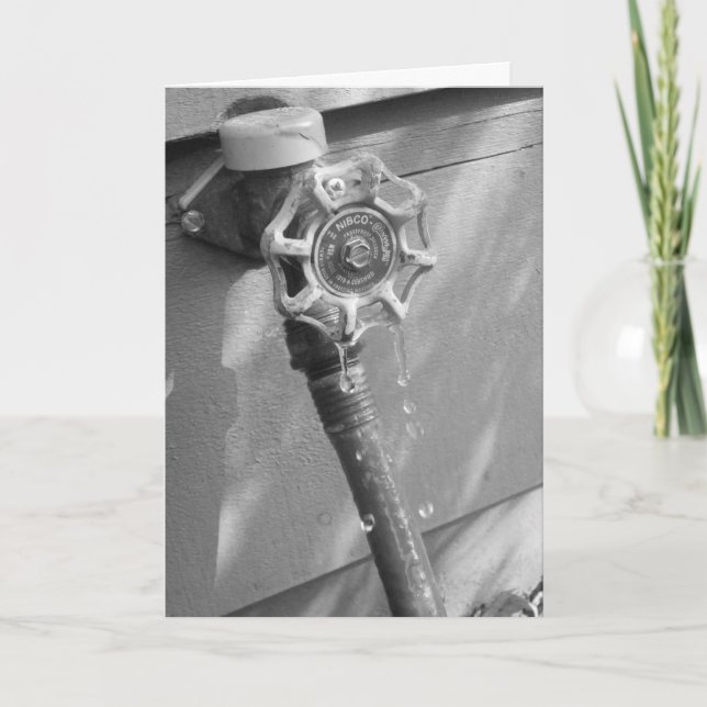 Geburtskarte "Drippy Garden Hose" Karte (Vorderseite)