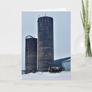Geburtskarte "gekühltes Rindfleisch" Karte