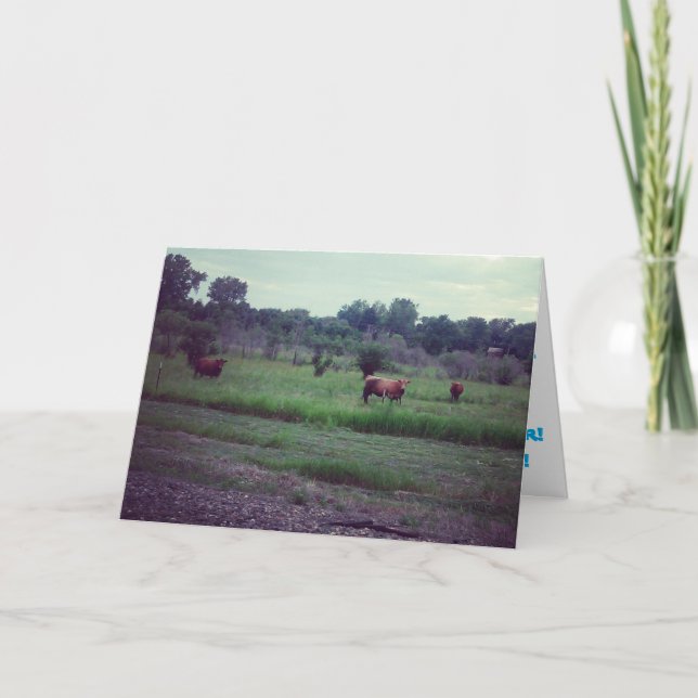 Geburtskarte "Herd der Kühe" Karte (Vorderseite)