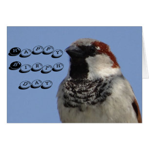 Geburtskarte niedlicher kleiner Vogel