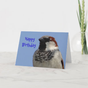 Geburtskarte niedlicher kleiner Vogel Karte