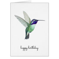 Geburtskarte von Costa's Hummingbird