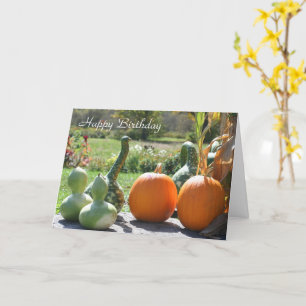 Geburtskarte von Waren und Pumkins Karte
