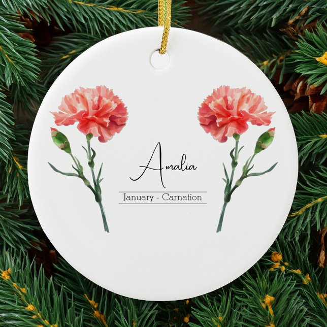 Geburtsmonat Blume Januar Nation Ornament (Von Creator hochgeladen)