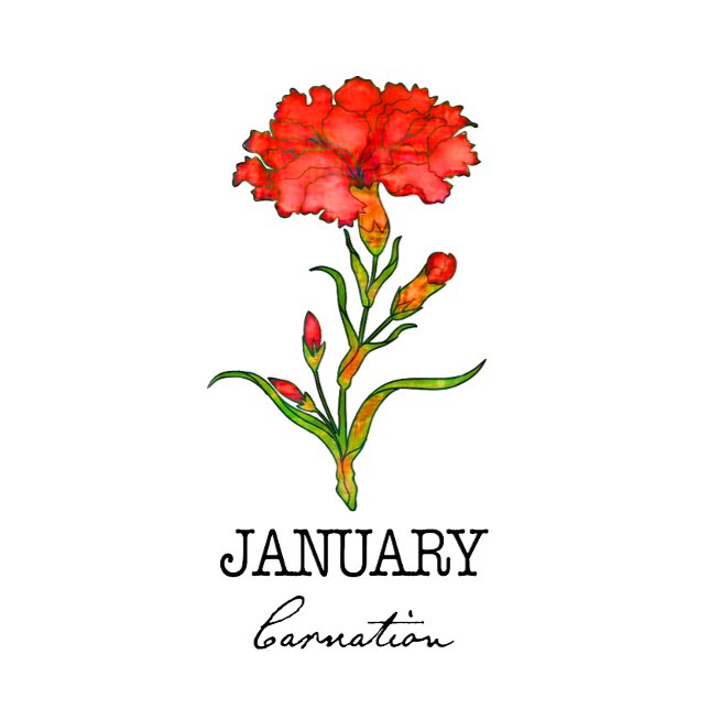 Geburtsmonat Januar  Schürze (Von Creator hochgeladen)