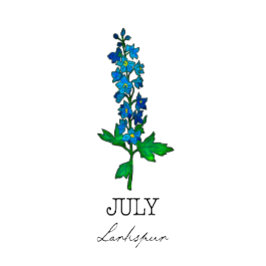 Geburtsmonat Juli Larkspur Blume T-Shirt