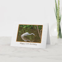Geburtstag, 65., Great Egret Fishing am Fluss
