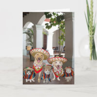 Geburtstag aus der Gruppe Spanisch