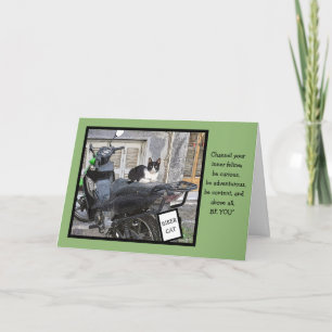 GEBURTSTAG/BIKER KATZE/ZOLLBAR ANKÜNDIGUNG