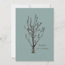 Geburtstag botanisch