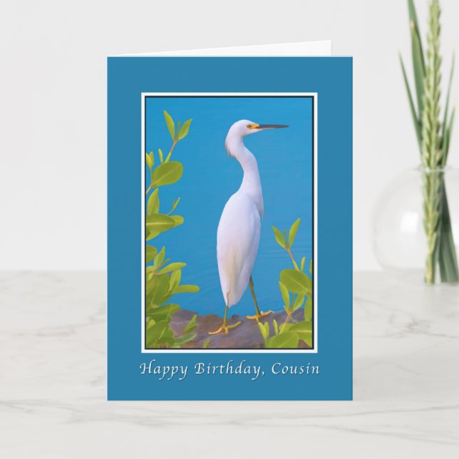 Geburtstag, Cousin, Snowy-Reiher-Vogel Karte (Vorderseite)