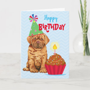 Geburtstag Cupcake Dogue de Bordeaux Karte