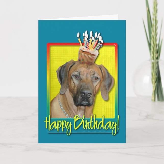 Geburtstag Cupcake - Rhodesian Ridgeback Karte (Vorderseite)