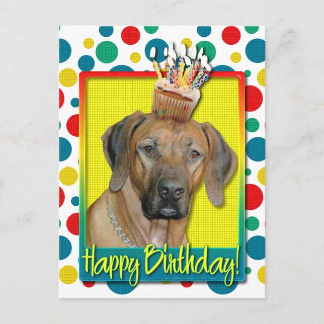 Geburtstag Cupcake - Rhodesian Ridgeback Postkarte (Vorderseite)