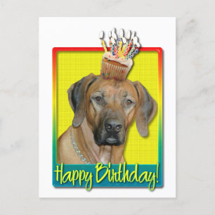 Geburtstag Cupcake - Rhodesian Ridgeback Postkarte