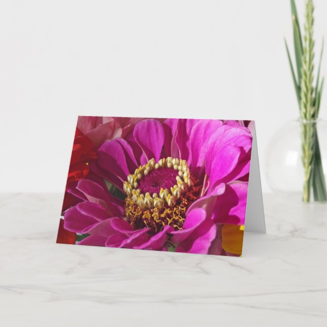 Geburtstag der Mama, Rosa Zinnia-Blume Karte (Vorderseite)
