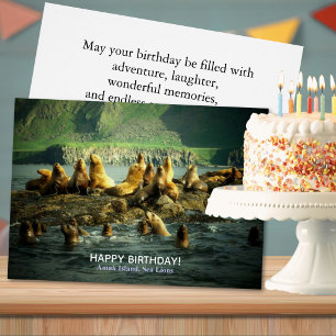 Geburtstag der Seelöwen von Amak Island