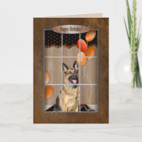 GEBURTSTAG - Deutscher Hirte - Ballons