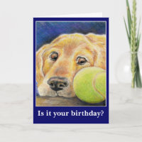 Geburtstag eines Hundes