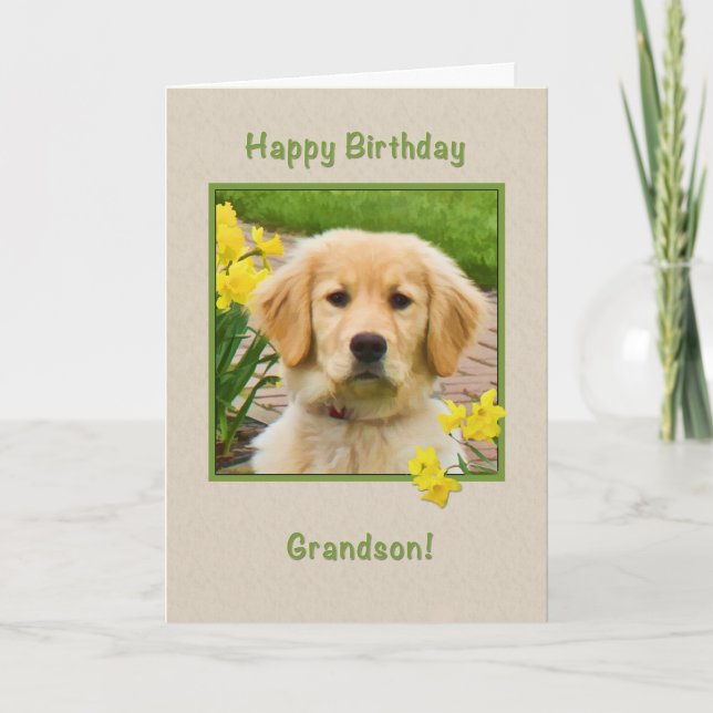 Geburtstag, Enkel, golden retriever-Hund Karte (Vorderseite)