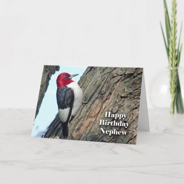 Geburtstag für Neffeen, rothaariger Specht Karte (Vorderseite)