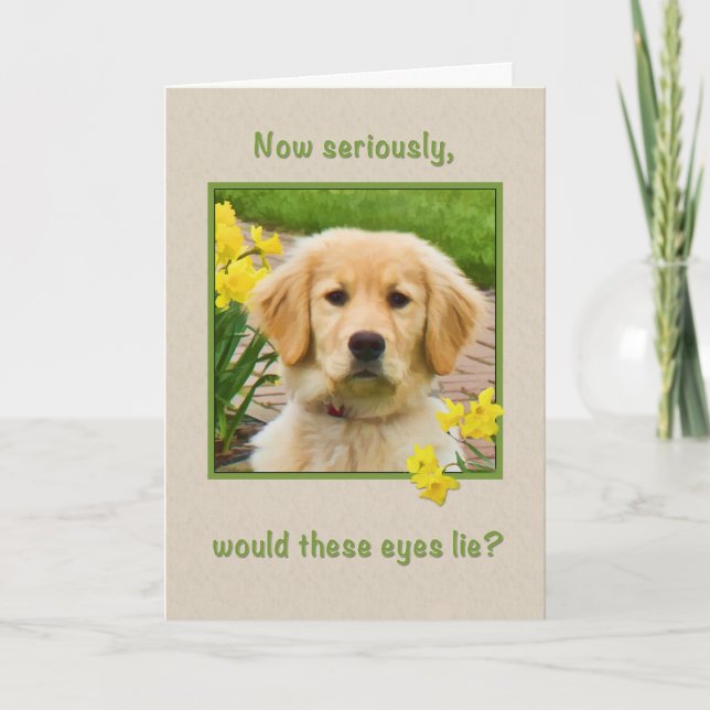 Geburtstag, Golden Retriever Dog, Affodien Karte (Vorderseite)