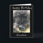 GEBURTSTAG **GRANDSON** KARTE<br><div class="desc">HABEN SPASS,  DIESE KARTE ZU SENDEN ODER ZU GEBEN,  UM ER WIRD LIEBE ERHALTEN SIE VON "DIR" SICHER. ICH LIEBE DIESE KARTENZEILE UND ICH DANKE IHNEN,  DASS SIE VON 1 MEINER 8 GESCHÄFTE GESCHLOSSEN SIND.</div>