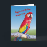 Geburtstag, Grandson, Macaw Parrot Karte<br><div class="desc">Der Ara gehört zu den farbenfrohen Mitgliedern der Papageienfamilie und ist auch einer der größten.   Er macht eine tolle Geburtstagskarte.</div>