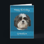 Geburtstag, Grandson, Shih Tzu Dog Karte<br><div class="desc">Dieser kleine schiitische Tzu-Hund mit seinem niedlichen,  kuscheligen Gesicht verleiht jedem Liebhaber von Haustieren einen besonderen Reiz. Besonders schön ist es für eine Geburtstagskarte.</div>