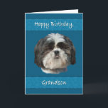Geburtstag, Grandson, Shih Tzu Dog Karte<br><div class="desc">Dieser kleine schiitische Tzu-Hund mit seinem niedlichen,  kuscheligen Gesicht verleiht jedem Liebhaber von Haustieren einen besonderen Reiz.  Besonders schön ist es für eine Geburtstagskarte.</div>