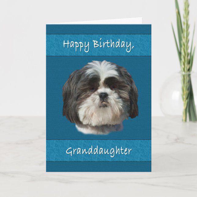 Geburtstag, Großtochter, Shih Tzu Dog Karte (Vorderseite)