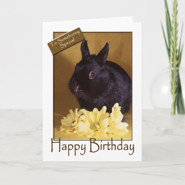 Geburtstag - Häschen-und Gänseblümchen-Gruß-Karte Karte (Vorderseite)