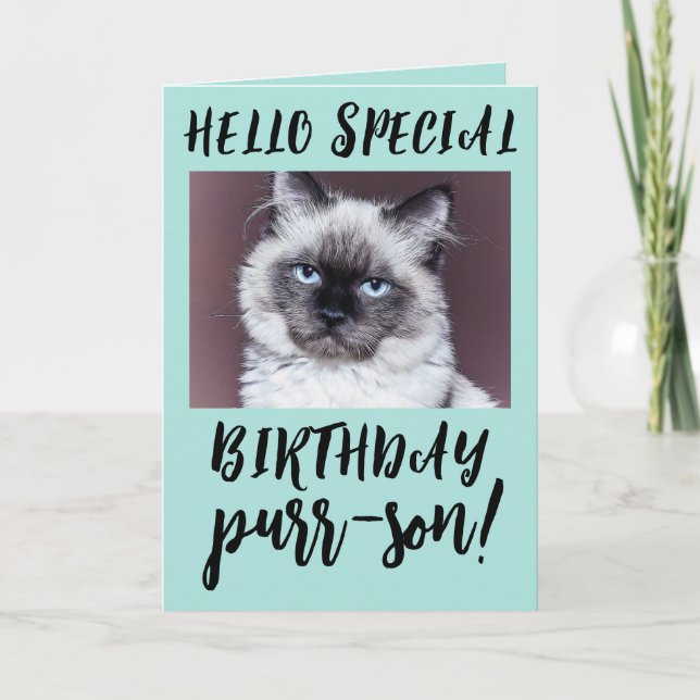 GEBURTSTAG KATSIAMESE PERSIAN GREETING CARD KARTE (Vorderseite)