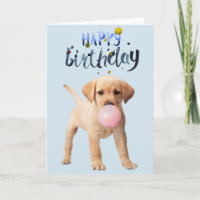 Geburtstag Labrador Retriever Puppy Dog Bubble Gum