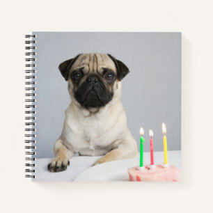 Geburtstag Mops Notizbuch